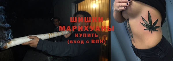 ГАЛЛЮЦИНОГЕННЫЕ ГРИБЫ Козельск