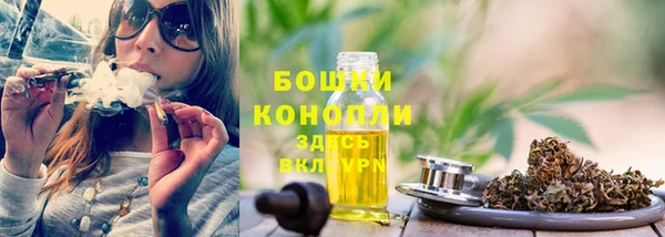 СК Козловка